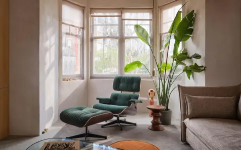 Gemütliche Ecke im **mid century style** mit einem grünen Cord-Sessel, Fußhocker, einer großen Pflanze und einem Sofa.